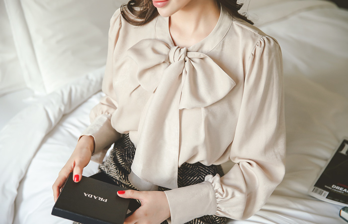 大丝带围巾柔滑的女衬衫