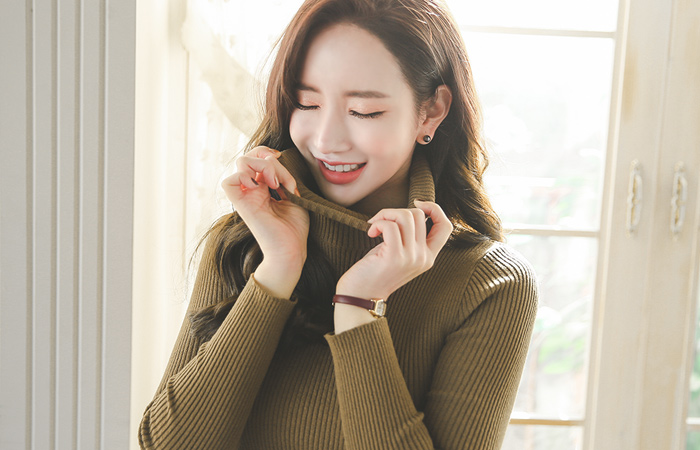 利兹基本的波拉针织衫