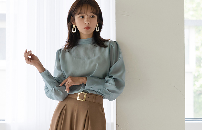 优雅 透视 后面 领带 蓬松袖 莫代尔 罩衫