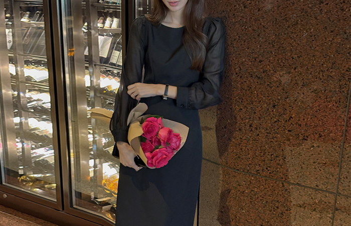 ODE 透视 袖 H字型 连衣裙(2type)