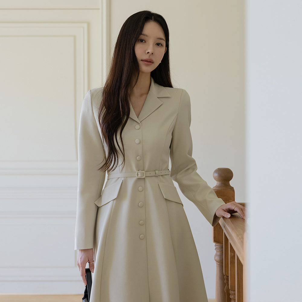 翻领 A字型 连衣裙