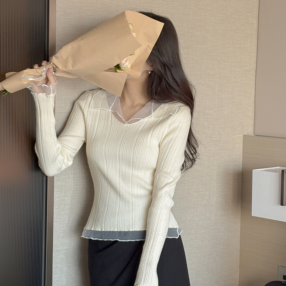 透视 配色 领子 苗条 针织衫