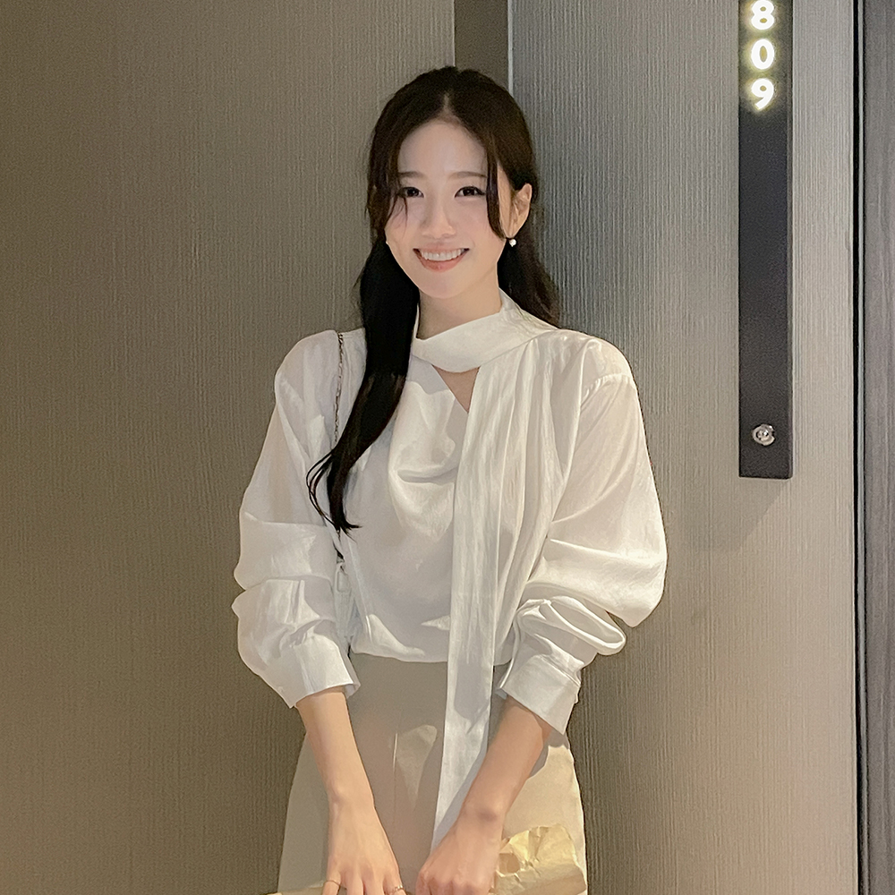 披盖 领带 开叉 罩衫